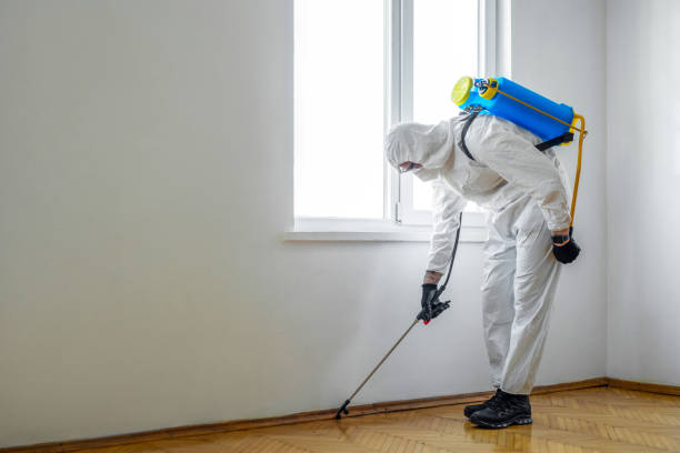 Best Affordable Pest Control Services  in USA